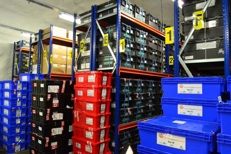 Seiful are ca scop prevenirea pierderii permanente a speciilor de culturi după un război, un dezastru natural sau o pandemie