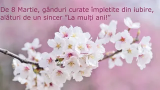 Felicitări de Ziua Femeii 2023: Imagini cu text și urări virtuale pentru 8 martie 2023