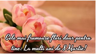 Cele mai superbe mesaje de Ziua Femeii 2023. „Îți doresc ca răsăritul soarelui să-ți aducă peste zi împlinirea viselor alături de tot ceea ce poate fi mai pur, mai sincer, mai curat. Un 8 Martie însorit!”