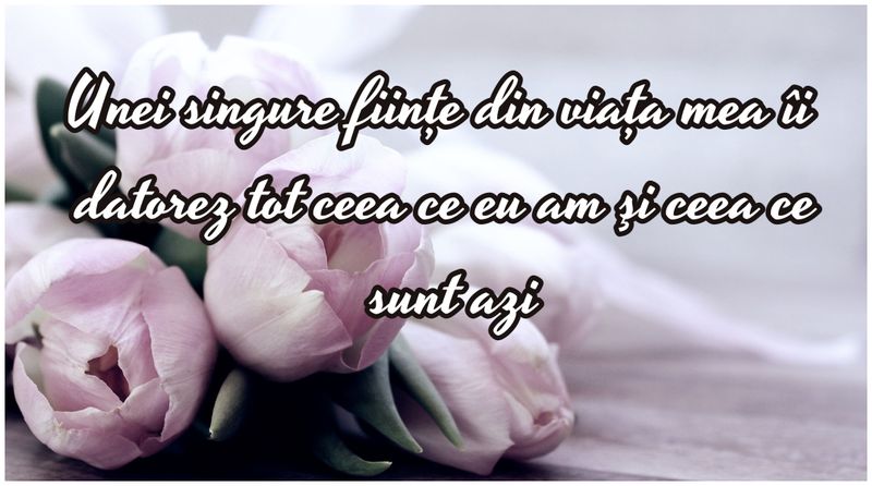  „Îți doresc ca răsăritul soarelui să-ți aducă peste zi împlinirea viselor alături de tot ceea ce poate fi mai pur, mai sincer, mai curat. Un 8 Martie însorit!”