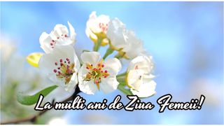 Cele mai superbe mesaje de Ziua Femeii 2023. „Îți doresc ca răsăritul soarelui să-ți aducă peste zi împlinirea viselor alături de tot ceea ce poate fi mai pur, mai sincer, mai curat. Un 8 Martie însorit!”