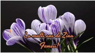 Cele mai superbe mesaje de Ziua Femeii 2023. „Îți doresc ca răsăritul soarelui să-ți aducă peste zi împlinirea viselor alături de tot ceea ce poate fi mai pur, mai sincer, mai curat. Un 8 Martie însorit!”