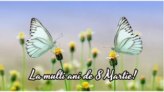 Cele mai superbe mesaje de Ziua Femeii 2023