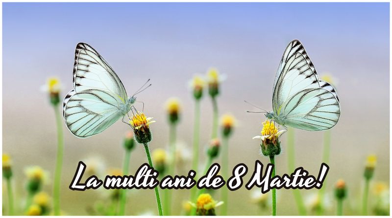 Cele mai superbe mesaje de Ziua Femeii 2023