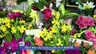 Cele mai căutate flori de 8 martie