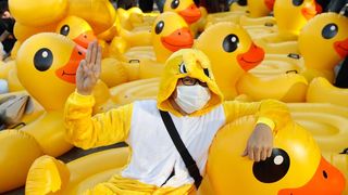 VIDEO. A fost trimis 2 ani după gratii pentru un calendar cu rațe