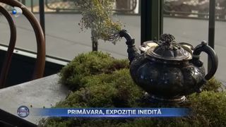 VIDEO- Portalul de primăvară, expoziție inedită în Bihor