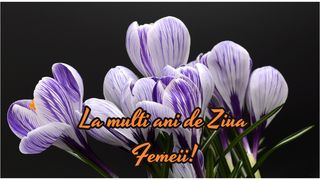 Felicitări de 8 Martie 2023 pentru femeile din viața ta. Cele mai impresionante mesaje