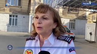 Bușteni răsturnați peste pietoni