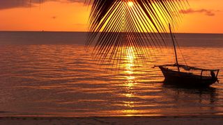 În anul 2023, turiștii preferă Tanzania & Zanzibar, Japonia, Coasta de Vest a SUA, Iordania, America de Sud și Mexic