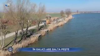 &Icirc;n Galați are balta pește