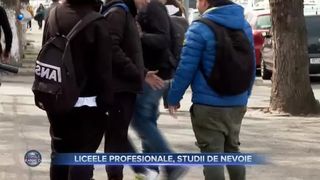 Liceele profesionale, studii de nevoie
