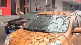 O ploaie cu viermi &icirc;n China?