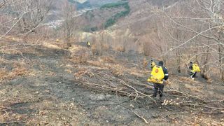 Incendiu puternic într-o pădure de la Slănic Moldova. Pompierii au intervenit