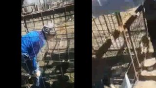 Imagini șocante cu un elev băgat în cușcă într-o școală din România