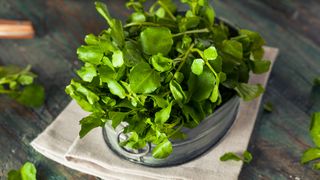 Untișorul. Ce este și cum se măn&acirc;ncă această plantă