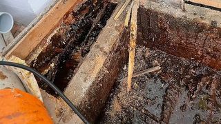 Incredibil ce a putut acest cuplu să găsească în pereții casei! „Locuiam pe un imens stup”