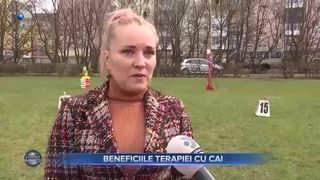 Beneficiile terapiei cu cai