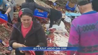 VIDEO- Camion încărcat cu ardei, răsturnat pe o șosea din Mehedinți