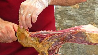 Cruzime fără margini la Brașov: mai multe persoane sunt vizate de faptul că au ucis cai și-i trimiteau la export cu acte false