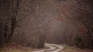 Moarte învăluită în mister: doi tineri au fost găsiți spânzurați, sprijinindu-se unul pe celălalt, în pădure