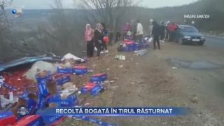 Recoltă bogată &icirc;n tirul răsturnat