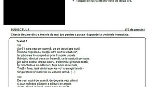 Subiecte Română simulare Evaluare Națională 2023. 
