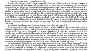 Subiecte Română simulare Evaluare Națională 2023. 