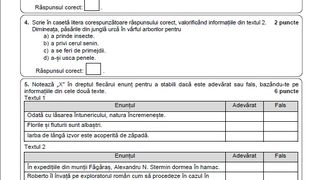 Subiecte Română simulare Evaluare Națională 2023. 