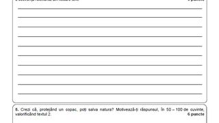Subiecte Română simulare Evaluare Națională 2023. 