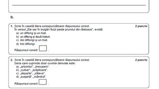 Subiecte Română simulare Evaluare Națională 2023. 