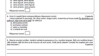 Subiecte Română simulare Evaluare Națională 2023. 