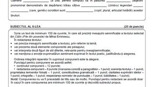 Subiecte Română simulare Evaluare Națională 2023. 