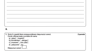 Edu.ro Subiecte Rom&acirc;nă simulare Evaluare Națională 2023. Modele de subiecte și rezolvări pentru elevii claselor a VIII-a