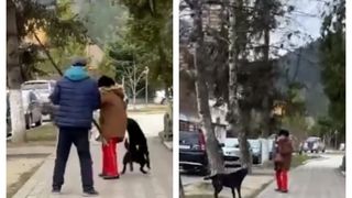 VIDEO- O femeie a fost atacată de un câine în județul Buzău. Trecătorii nu i-au sărit în ajutor