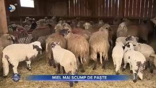 VIDEO- Carnea de miel, mai scumpă dec&acirc;t anul trecut