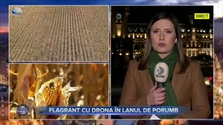 Flagrant cu drona &icirc;n lanul de porumb