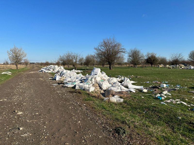 Reacția lui Marcel Ciolacu, după invitația lui Clotilde Armand în Sectorul 1: ,,Noaptea e patria şobolanilor"