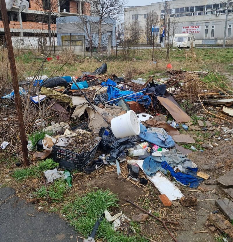 Reacția lui Marcel Ciolacu, după invitația lui Clotilde Armand în Sectorul 1: ,,Noaptea e patria şobolanilor"