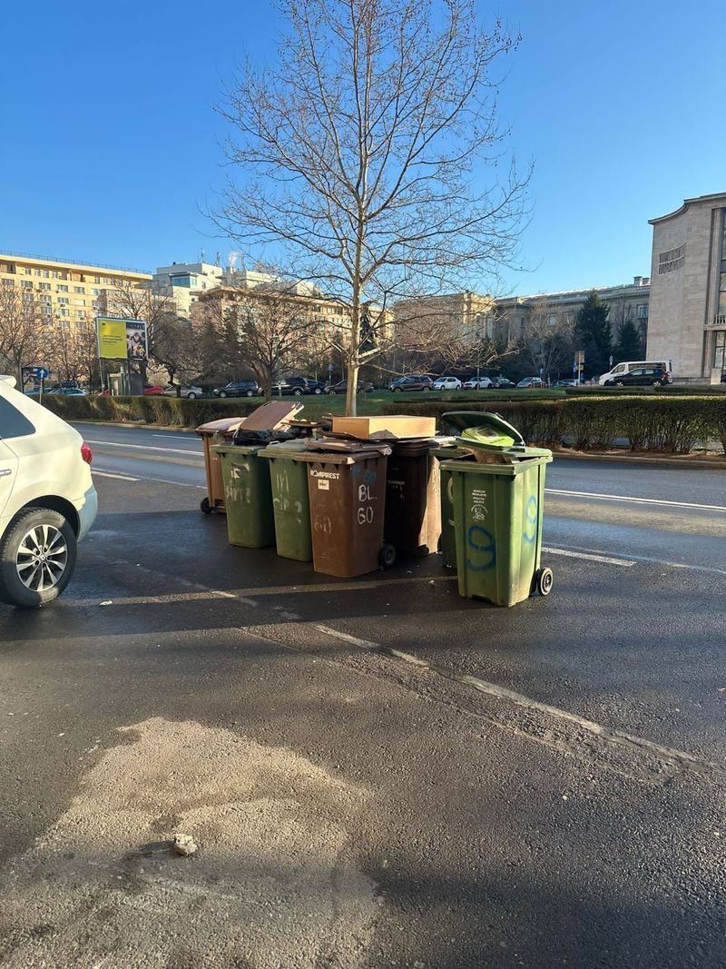 Reacția lui Marcel Ciolacu, după invitația lui Clotilde Armand în Sectorul 1: ,,Noaptea e patria şobolanilor"