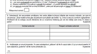 Simulare Evaluare Națională 2023