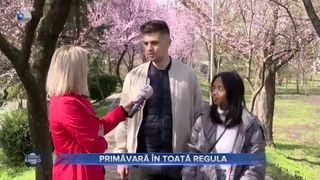 Primăvară &icirc;n toată regula