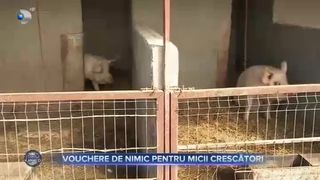 Vouchere de nimic pentru micii crescători