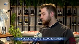 VIDEO- Vita Black Angus, pe placul românilor
