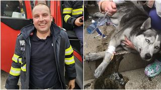 Și-a pus viața în pericol și a salvat o altă viață! Un pompier din Mehedinți a scos un cățel din flăcările unui incendiu izbucnit la un bloc din Drobeta Turnu Severin