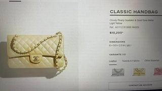 Cât costă geanta de lux purtată de Carmen Iohannis la vizita în Emiratele Arabe Unite? Suma este una colosală și trece de 8.000 de dolari