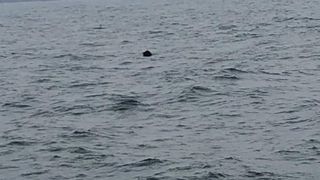 Incendiu la o navă ancorată în Portul Constanța. Focul a izbucnit în zona spaţiilor de locuit