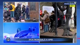 VIDEO- 22 martie: Ziua Mondială a Apei