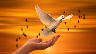 Acatistul Buneivestiri a Maicii Domnului. Ajută la &icirc;mplinirea dorințelor!