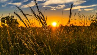 La acest moment costurile de producție sunt foarte mari, iar fermierii nu au certitudinea că vor putea avea vreun câștig la final.